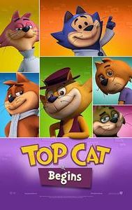 Top Cat Begins