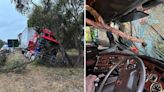 Aussie truck driver's 'lucky' escape after tree branch impales windscreen