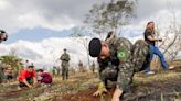 30º BIMec promove plantio de araucárias no Parque da Raposa | TNOnline