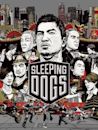 Sleeping Dogs (video game)