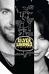 Il lato positivo - Silver Linings Playbook