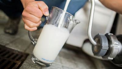 Bird Flu Highlights Concerns Around Raw Milk