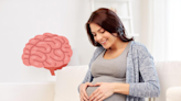 'Cerebro de mamá', fenómeno del embarazo