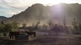 As water dries up in Arizona community, residents use rainwater to flush toilets and plastic plates to avoid dishwashing