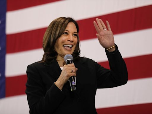 Vulnerable House Democrats look to get boost from Harris