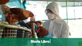 México dice que "no existe riesgo de contagio" tras primera muerte humana por gripe aviar