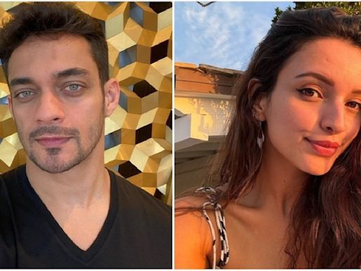 Animal’s Bhabi 2 Triptii Dimri's sunkissed vacation PIC with rumored beau Sam Merchant and friends is just LIT