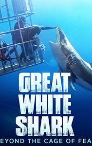 Great White Shark: Beyond the Cage of Fear