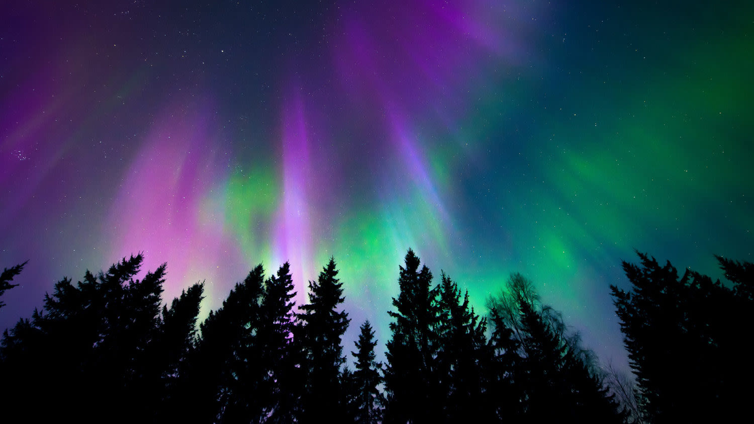 You could see the Northern Lights this weekend