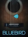 Bluebird