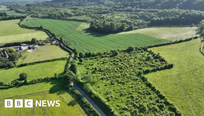 Sevenoaks: Plans to turn 26-acre farm into nature reserve
