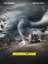 The Hurricane Heist