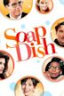 Soapdish