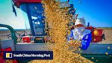 China eyes US$2 billion food security boost from rustproof soybean breakthrough