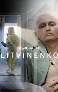 Litvinenko