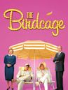 The Birdcage – Ein Paradies für schrille Vögel