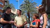 Técnicos de Elche revisan las palmeras que serán sustituidas en tres calles de Torrent tras el accidente