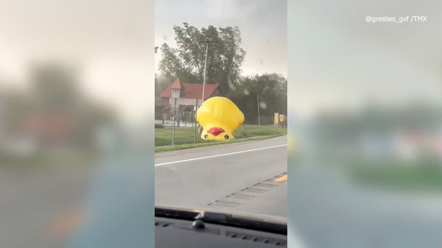 What the duck? Massive inflatable duck blows into traffic