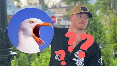 What should be done with accused seagull killer? NJ Top News