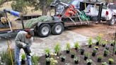 Changing seasons mean changes in watering for plants