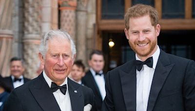 Prince Harry Sent 'Message' to King Charles on Tour: Royal Expert