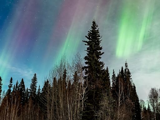 Tormenta geomagnética en Florida: checa dónde serán visibles las auroras boreales