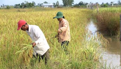 Manos Unidas impulsa proyectos contra la desigualdad provocada por la crisis climática en Camboya, Paraguay y Madagascar