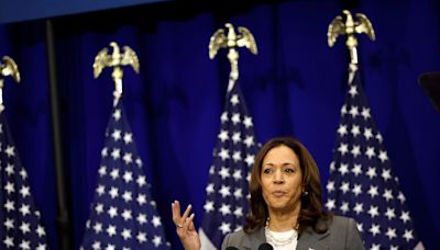 Even Kamala Harris acknowledged that Biden's debate performance was rough