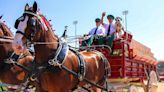 Budweiser’s Clydesdale Horses No Longer Have Tails Cut Off, Says Brewer