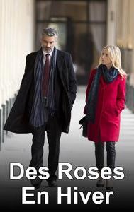 Des Roses En Hiver