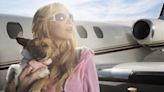 Dog Parents Spend $45K to Take Great Dane, Golden Retriever, and Dachshund on Private Jet Trip