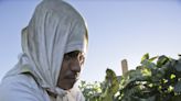 A ‘slap in the face:’ Farmworker groups decry law preventing heat rules