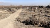 Los campos de Afganistán enfrentan los efectos de la "peor seguía" de los últimos 30 años