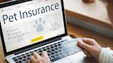 Should you pay for pet insurance?