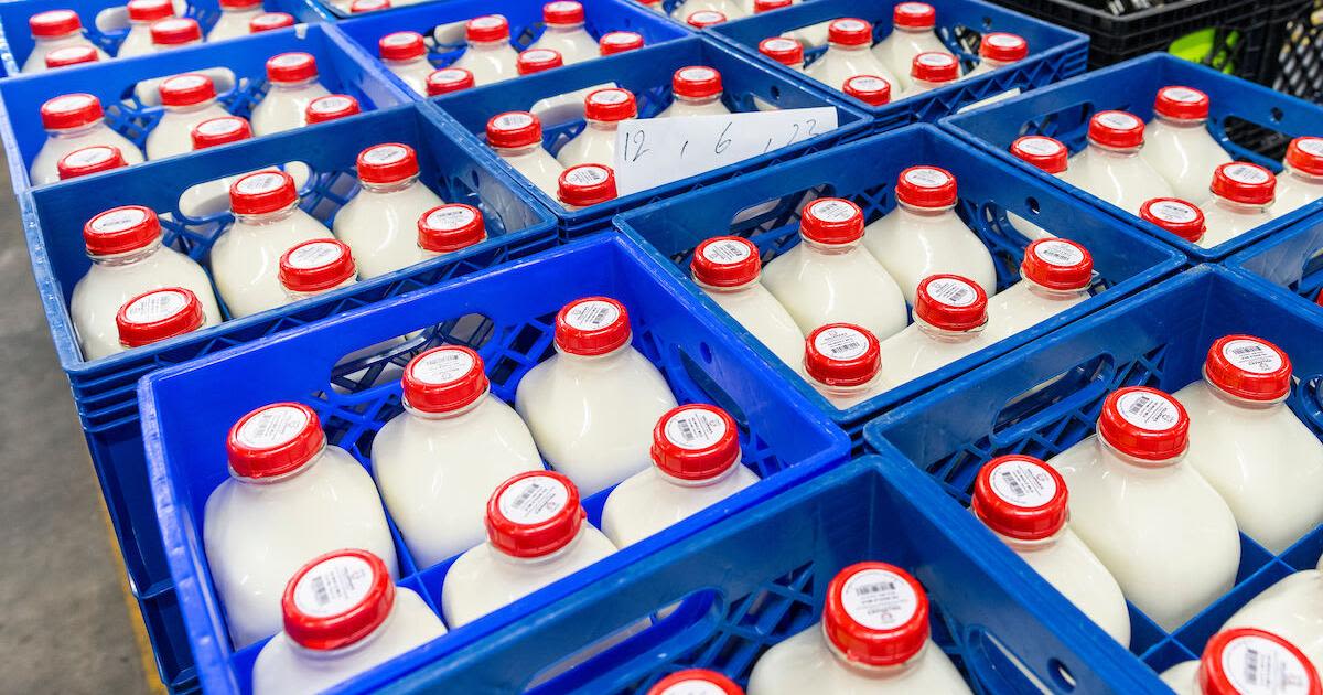 CROP & WEATHER REPORT: Texas dairy sees low milk prices, shifts in consumer demand