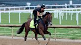 Jayson Werth's racehorse is a Kentucky Derby darling