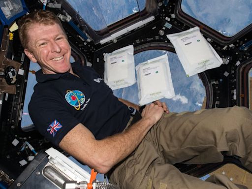Sunita Williams and Butch Wilmore stranded on ISS are in no danger, says British astronaut Tim Peake