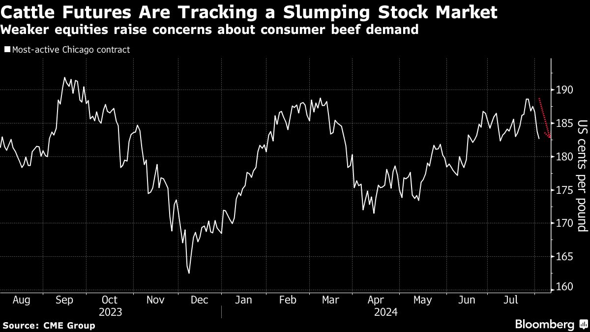 Cattle Plunges as Stock Market Slump Raises Beef Demand Concerns