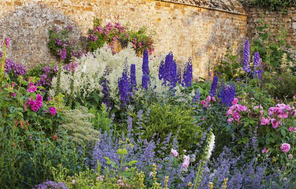 24 Tall Perennial Flowers That Will Take Your Garden to New Heights