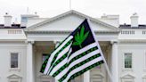 Gobierno de EE. UU. pidió reclasificar a la marihuana | Teletica