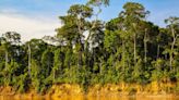 El Parque Nacional del Manu celebra 50 años como área protegida en la selva sur de Perú