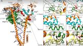 Using machine learning to track the evolution of COVID-19