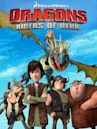 Dragons: Riders of Berk