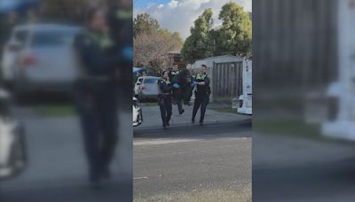 Australia police return stolen gorilla to retirement home