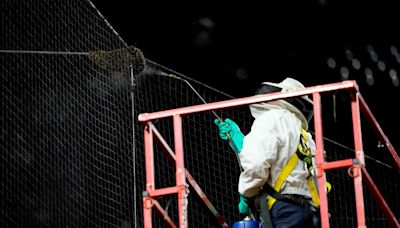 Beekeeper becomes hero after Dodgers-Diamondbacks game delayed due to massive bee colony