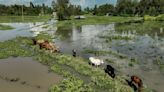 Flooding wreaks havoc across East Africa. Burundi is especially hard-hit