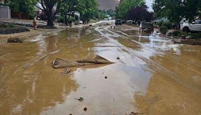 PHOTOS: Roughly 100 Nevada homes impacted by sudden flash flooding