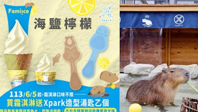 Xpark×全家推「海鹽檸檬」霜淇淋！買就送超萌水豚、企鵝造型湯匙！