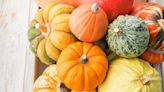 20 Different Types of Squash and How to Use Them