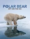 Polar Bear: Spy on the Ice